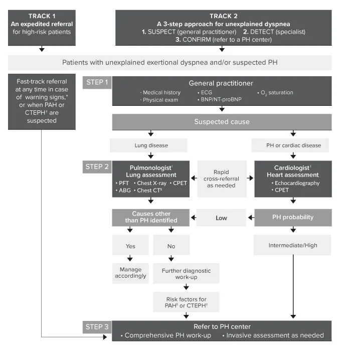 Diagnosing PAH algorithm